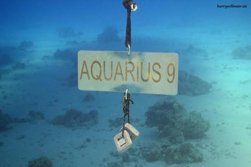 Tauchboot Aquarius9 Shaab Sabina Hurghada Ägypten