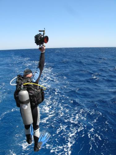 der Kuenstler Aquarius 9 Hurghada Aegypten